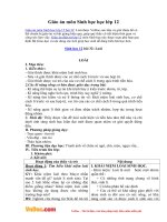 Giáo án môn Sinh học 12 - Bài 32: Loài