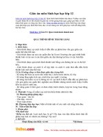 Giáo án môn Sinh học 12 - Bài 33: Quá trình hình thành loài