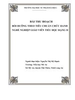 Bài thu hoạch hạng 2 TH mỹ AN