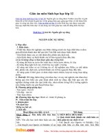 Giáo án môn Sinh học 12 - Bài 36: Nguồn gốc sự sống