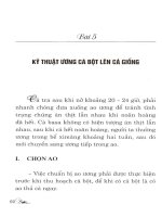 Kỹ thuật nuôi cá tra và cá ba sa trong bè: Phần 2