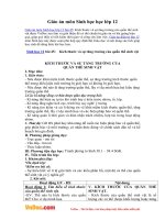 Giáo án môn Sinh học 12 - Bài 45: Kích thước và sự tăng trưởng của quần thể sinh vật