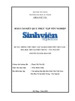 PHÓNG VIÊN THỰC TẬP TẠI BÁO SINH VIÊN VIỆT NAM – HOA HỌC TRÒ TẠI MIỀN TRUNG – TÂY NGUYÊN