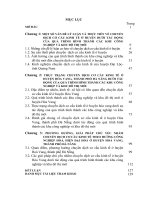 Ths KT chuyển dịch cơ cấu kinh tế ở huyện hòa vang, thành phố đà nẵng dưới tác động của quá trình hình thành các khu công nghiệp và khu đô thị mới