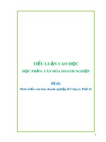 Tiểu luận Văn hóa doanh nghiệp: Phát triển văn hóa doanh nghiệp ở Công ty Phở 24