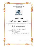 Báo cáo thực tập tốt nghiệp công nghệ kỹ thuật điều khiển và tự động hóa tìm hiểu dây chuyền sản xuất nhà máy thủy điện huội quảng 