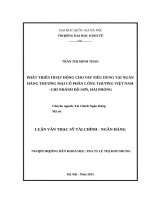 Phát triển hoạt động cho vay tiêu dùng tại ngân hàng thương mại cổ phần công thương việt nam   chi nhánh đồ sơn, hải phòng    