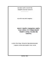 Phát triển thương hiệu tại công ty TNHH phát triển công nghệ hệ thống    