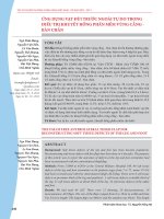 Ứng dụng vạt đùi trước ngoài tự do trong điều trị khuyết hổng phần mềm vùng cẳng - bàn chân