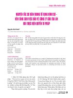 Nguyên tắc cơ bản trong tố tụng hình sự - nền tảng cho việc bảo vệ công lý của tòa án khi thực hiện quyền tư pháp