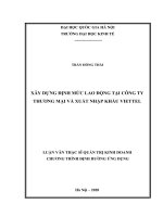 Xây dựng định mức lao động tại công ty thương mại và xuất nhập khẩu viettel 