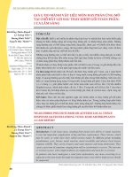 Giả u do mảnh vật liệu mòn hay phản ứng mô tại chỗ bất lợi sau thay khớp gối toàn phần: 1 ca lâm sàng