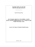 Xuất khẩu dịch vụ tài chính ngân hàng (kinh nghiệm quốc tế và những gợi ý đối với việt nam)    