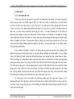 biện pháp góp phần nâng cao chất lượng giáo dục Đề tài kinh nghiệm dạy một số dạng toán về tỉ lệ thức và dãy tỉ số bằng nhau trong đại số 7