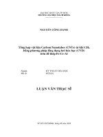 Tổng hợp vật liệu carbon nanotubes (CNTs) từ khí CH4 bằng phương pháp lắng đọng hơi hóa học (CVD) trên đế thép FeCrAL