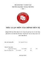 Chiến lược thâm nhập của các công ty đa quốc gia vào các nước đang phát triển và các hình thức thủ đoạn “chuyển giá” của các công ty này ở các nước nhận đầu tư