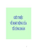Bài giảng Giới thiệu về hoạt động của tổ Công đoàn