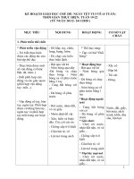 kế hoạch giáo dục chủ đề ngày tết vui vẽ (4 tuần) 