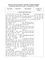 kế hoạch giáo dục chủ đề nghề nghiệp 