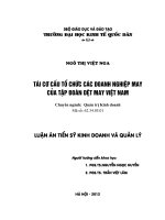 Tái cơ cấu tổ chức các doanh nghiệp may của tập đoàn may việt nam 