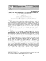 Chiến lược học tập tiếng Hoa của sinh viên dân tộc Hoa tại thành phố Hồ Chí Minh