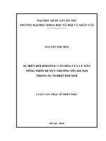 Sự biến đổi đời sống văn hóa của cư dân nông thôn huyện thường tín, hà nội trong sự nghiệp đổi mới 