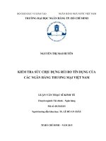 Kiểm tra sức chịu đựng rủi ro tín dụng của các ngân hàng thương mại việt nam