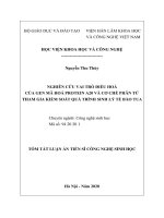 Nghiên cứu vai trò điều hoà của gen mã hoá protein a20 và cơ chế phân tử tham gia kiểm soát quá trình sinh lý tế bào tua  tt 
