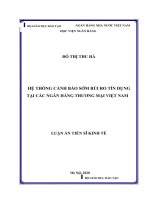 Hệ thống cảnh báo sớm rủi ro tín dụng tại các ngân hàng thương mại việt nam