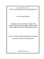 (Luận văn thạc sĩ) Giải pháp tăng cường huy động vốn tại Ngân hàng Nông nghiệp và Phát triển nông thôn Việt Nam  Chi nhánh Sao Đỏ