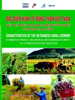 Báo cáo Đặc điểm kinh tế nông thôn Việt Nam – Kết quả điều tra hộ gia đình nông thôn năm 2012 tại 12 tỉnh