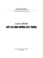 ĐẤT và DINH DƯỠNG cây TRỒNG