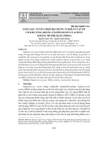 Sàng lọc, tuyển chọn bộ chủng vi khuẩn lactic có khả năng kháng Staphylococcus aureus kháng methicillin (MRSA)