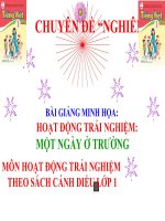 BÀI GIẢNG ĐIỆN TỬ MINH HỌA CHO CHUYÊN ĐỀ  SINH HOẠT CHUYÊN MÔN  THEO HƯỚNG  NGHIÊN CỨU BÀI HỌC                          MÔN HOẠT ĐỘNG TRẢI NGHIỆM LỚP 1  THEO SÁCH CÁNH DIỀU.  Bài: MỘT NGÀY Ở TRƯỜNG