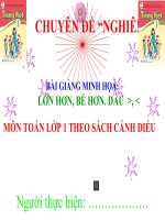 CHUYÊN ĐỀ  SINH HOẠT CHUYÊN MÔN THEO HƯỚNG  “NGHIÊN CỨU BÀI HỌC”  MÔN TOÁN LỚP 1 THEO SÁCH CÁNH DIỀU.