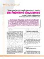 Phân lập một số loại nấm, vi khuẩn gây bệnh trên lá phong lan giống dendnobium và giống phalaenopsis