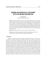 Số phận con người của M.A. Sô-lô-khốp xét từ góc độ sinh thái nhân văn