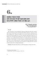 Những thách thức đối với kinh tế Việt Nam năm 2019 khi CPTPP chính thức có hiệu lực