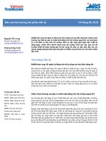 Báo cáo Thị trường trái phiếu tiền tệ - Tháng 6 năm 2019