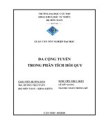 Đa cộng tuyến trong phân tích hồi quy