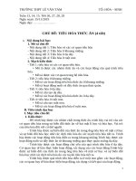 Giáo án chủ đề tiêu hóa