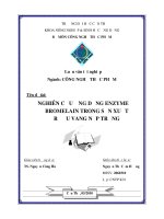 Nghiên Cứu Ứng Dụng Enzyme Bromelain Trong Sản Xuất Rượu Vang Nếp Trắng