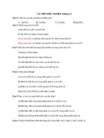 Đề cương ôn tập chương 1,2 môn Hóa học 11 năm 2019-2020 - Trường THPT Uông Bí