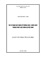 Tội vi phạm quy định về phòng cháy, chữa cháy trong pháp luật hình sự Việt Nam