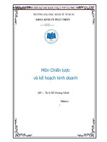 Phân tích chiến lược kinh doanh TH true milk