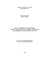 Thực Nghiệm Ương Cá Rô Đầu Vuông (Anabas Testudineus) Cồn Khương - Thành Phố Cần Thơ