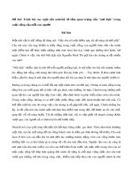 Trình bày suy nghĩ của anh/chị về tầm quan trọng của nơi dựa trong cuộc sống của mỗi con người