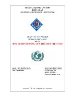 Bảo vệ quyền sống của trẻ em ở việt nam