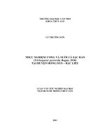 Thực Nghiệm Ương Và Nuôi Cá Sặc Rằn (Trichogaster Pectoralis Regan, 1910) Tại Huyện Hồng Dân