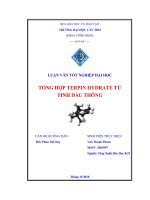 Tổng Hợp Terpin Hydrate Từ Tinh Dầu Thông